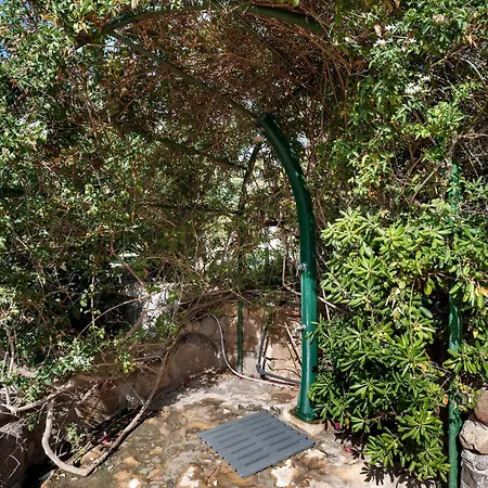 Pounamu 托雷德尔斯泰尔
